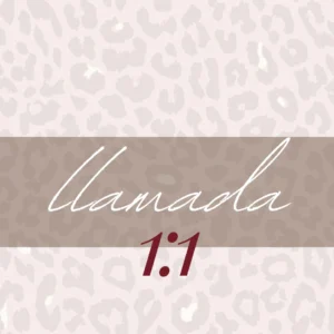 LLAMADA 1:1