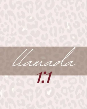 LLAMADA 1:1