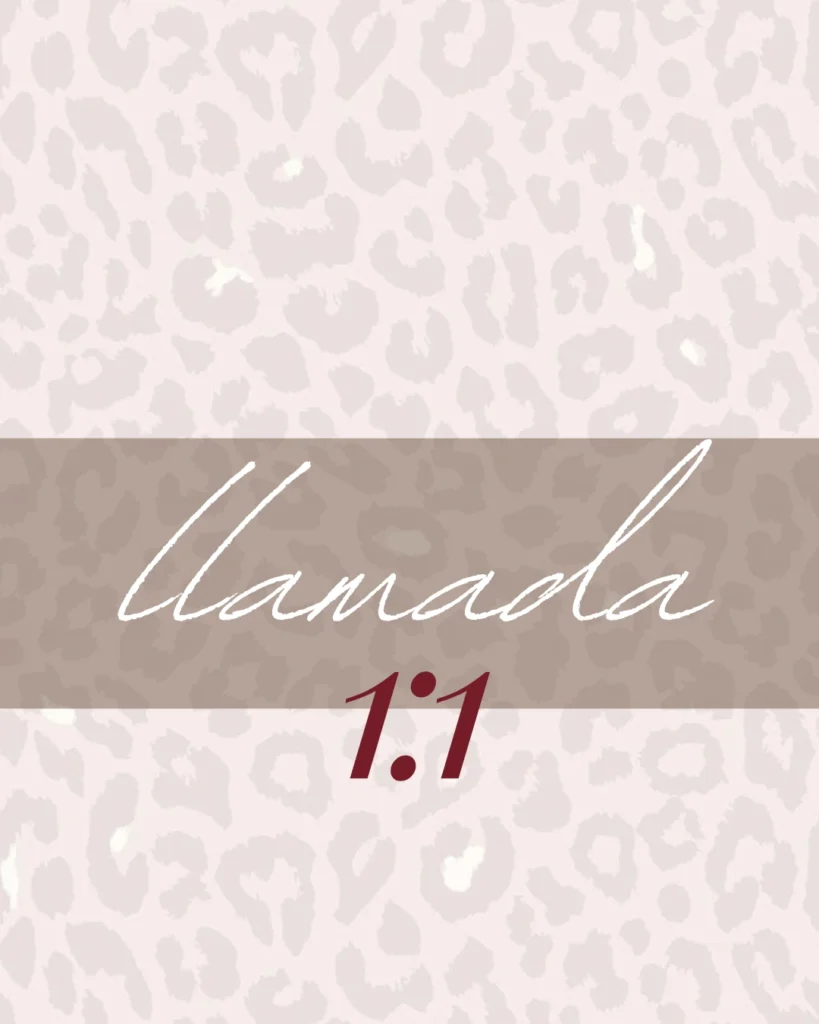 LLAMADA 1:1